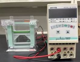 電気泳動装置【11-017277】