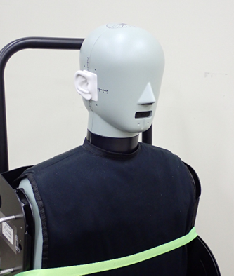 ヘッドトルソシミュレータ【00-003034】